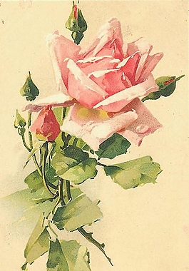 位圖 植物圖案 寫意花卉 花朵 玫瑰 免費素材