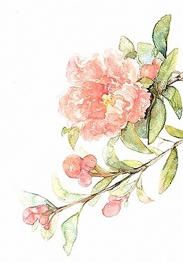 位圖 寫意花卉 植物 花朵 免費(fèi)素材