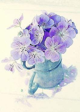 位圖 寫(xiě)意花卉 植物 花朵 免費(fèi)素材