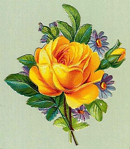位圖 寫意花卉 植物 花朵 免費素材