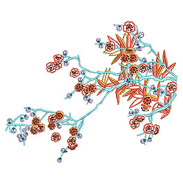 繡花 植物 花朵 免費素材