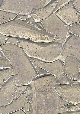 51189_肌理油彩_肌板塊