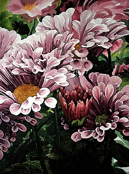 位圖 寫意花卉 藝術(shù)效果 水彩 免費素材
