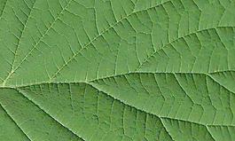 53630_肌理油彩_肌理彩