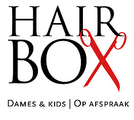 hairbox logo設計欣賞 hairbox化妝品標志下載標志設計欣賞