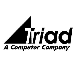 Triad_Computer_Solutions logo設(shè)計(jì)欣賞 Triad_Computer_Solutions網(wǎng)絡(luò)公司LOGO下載標(biāo)志設(shè)計(jì)欣賞