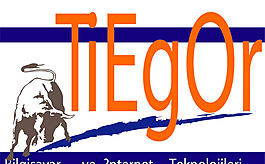 tiegor logo設(shè)計欣賞 tiegor網(wǎng)絡公司LOGO下載標志設(shè)計欣賞