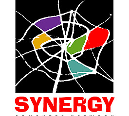 Synergy_Computer_Network logo設(shè)計欣賞 Synergy_Computer_Network網(wǎng)絡(luò)公司LOGO下載標(biāo)志設(shè)計欣賞