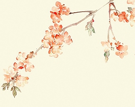 位圖 植物圖案 寫意花卉 花朵 超高清 免費素材