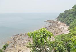 東西沖海景圖片