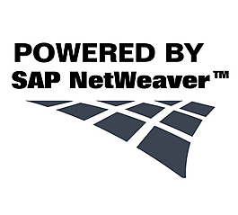 NetWeaver logo設(shè)計欣賞 NetWeaver軟件公司標(biāo)志下載標(biāo)志設(shè)計欣賞
