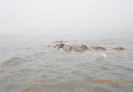 海景图片