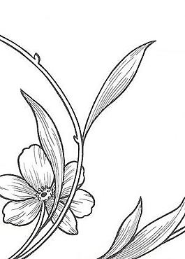 黑白蒙板 120_圖案紋理_黑白(技術(shù)組專用)