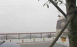 海边大桥图片