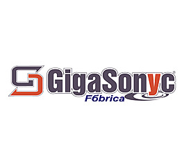 Giga_Sonic logo設(shè)計欣賞 Giga_Sonic電腦公司LOGO下載標(biāo)志設(shè)計欣賞