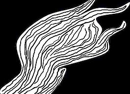 49167_肌理油彩_生物理