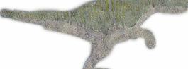 49173_肌理油彩_生物理