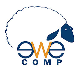 ewe_comp logo設(shè)計(jì)欣賞 ewe_comp電腦公司標(biāo)志下載標(biāo)志設(shè)計(jì)欣賞