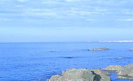 藍(lán)色的海圖片