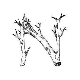 位圖 藝術(shù)效果 手繪 文字 英文 免費(fèi)素材