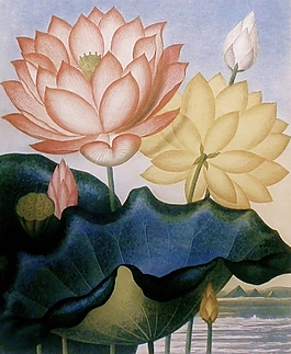 位圖 植物圖案 寫意花卉 花朵 荷花 免費素材