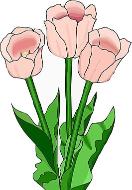 彩色花朵素材