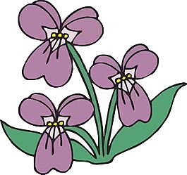 彩色花朵素材