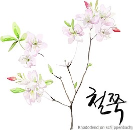 花纹背景