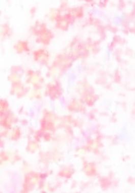 39861_圖案紋理_花紋