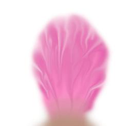 59519_肌理油彩_生物理