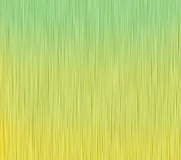 59535_肌理油彩_生物理