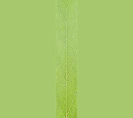 59543_肌理油彩_生物理