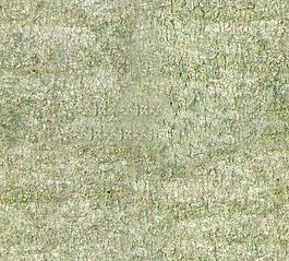 59561_肌理油彩_生物理