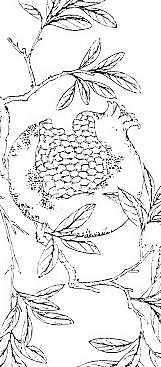 中秋之花開富貴線描08