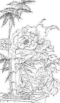 中秋之花開富貴線描05