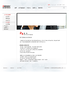 公司网站 企业网站