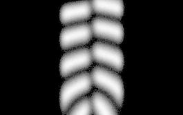59600_肌理油彩_生物理