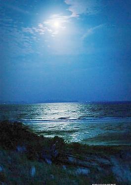 海上明月圖片