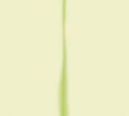 59694_肌理油彩_生物理