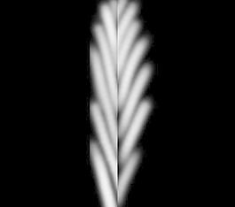 59697_肌理油彩_生物理