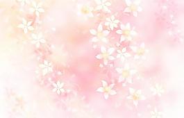 39992_圖案紋理_花紋