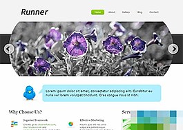 簡單個(gè)性幻燈博客整站模板