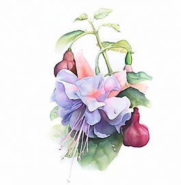 位圖 植物圖案 寫意花卉 花朵 超高清 免費素材