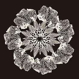 印花矢量圖 植物 花朵 女裝 免費(fèi)素材