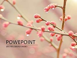 粉色小清新主題PPT模板