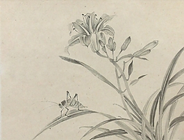 位圖 植物圖案 寫意花卉 花朵 百合 免費(fèi)素材