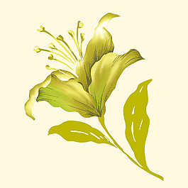 印花矢量圖 植物 花朵 女裝 免費素材