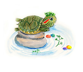 位圖 藝術(shù)效果 手繪 動物 烏龜 免費素材