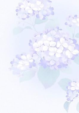40095_图案纹理_花纹