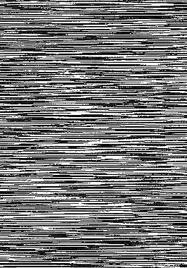 59902_肌理油彩_生物理
